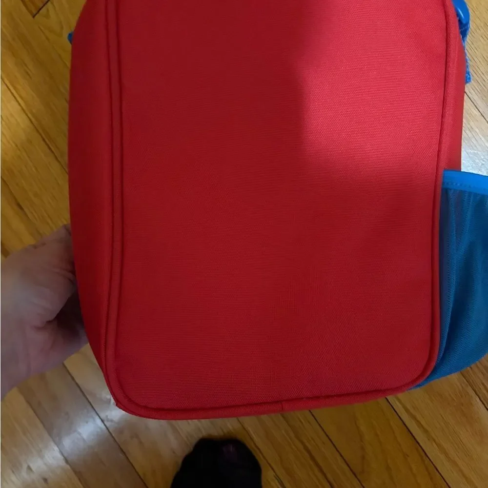Contigo Red Kids Lunch Bag with Dinosaur Design